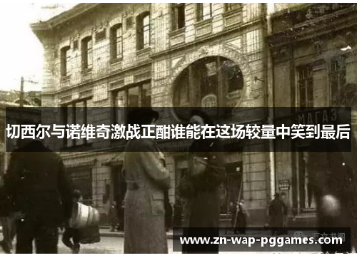 切西尔与诺维奇激战正酣谁能在这场较量中笑到最后